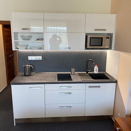 Apartmany Wellness Frymburk Luaran gambar