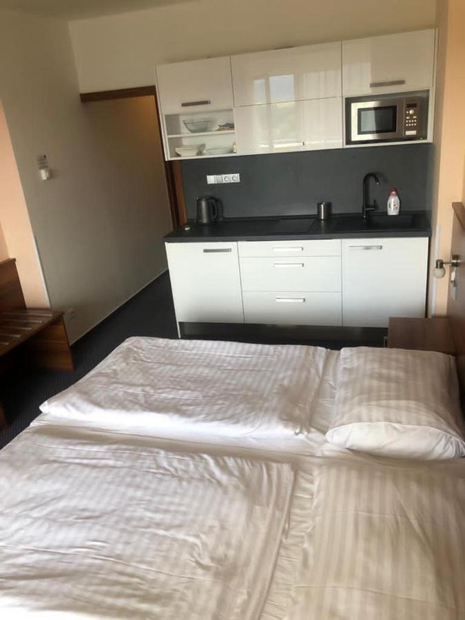 Apartmany Wellness Frymburk Luaran gambar
